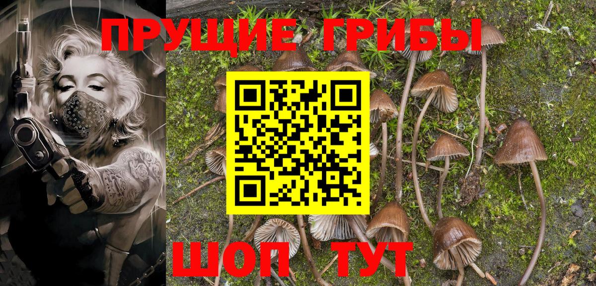 Галлюциногенные грибы MAGIC MUSHROOMS  Вход с VPN  Сарапул  купить наркотик  Галлюциногенные грибы ЛСД 