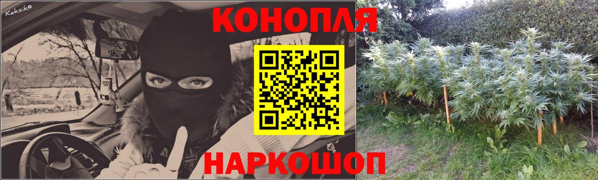 Каннабис Bruce Banner  Конопля LSD WEED  Шишки марихуана конопля  Канабис тримм  Сарапул  Вход с VPN 